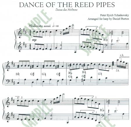 Nutcracker Suite - Burton - Image 3