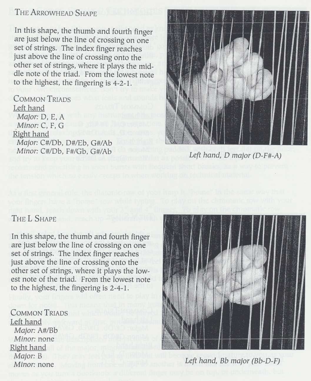 How To Play The Cross-Strung Harp - Image 3