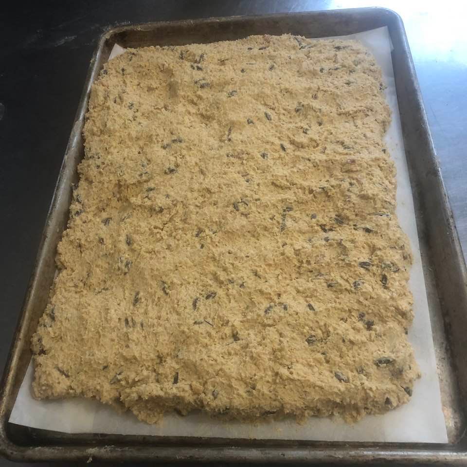 suet pressed out in cookie sheet