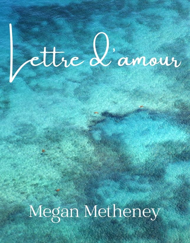 Lettre d-amour by Metheney Cover at folkharp.com